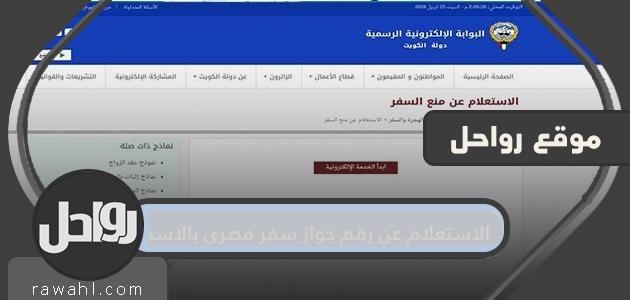 الاستعلام عن رقم جواز سفر مصرى بالاسم