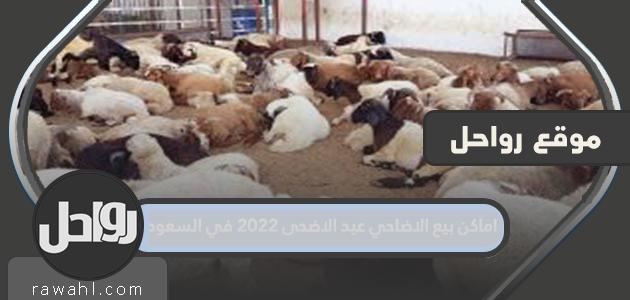 اماكن بيع الاضاحي عيد الاضحى في السعودية