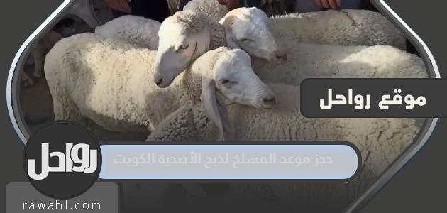 رابط وطريقة حجز موعد المسلخ لذبح الأضحية الكويت baladia.gov.kw