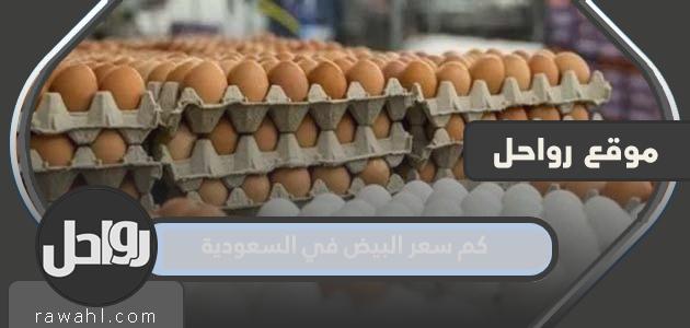 كم سعر البيض في السعودية 1 كم سعر البيض في السعودية