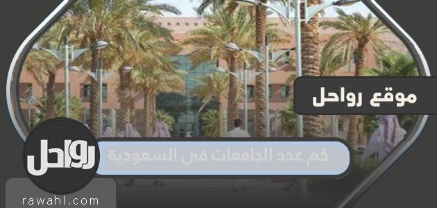 كم عدد الجامعات في السعودية وترتيبها حسب التصنيف العربي والعالمي