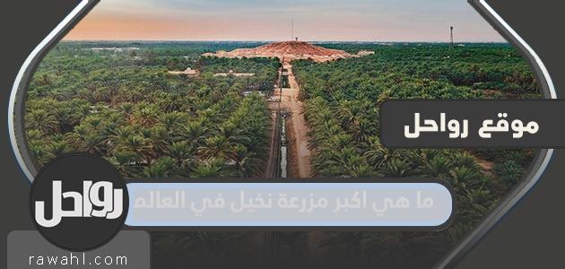 ما هي اكبر مزرعة نخيل في العالم