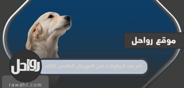 كم عدد البطولات في المهرجان العالمي للكلاب بالرياض