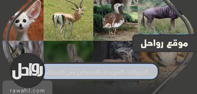 الحيوانات المهددة بالانقراض في المملكة