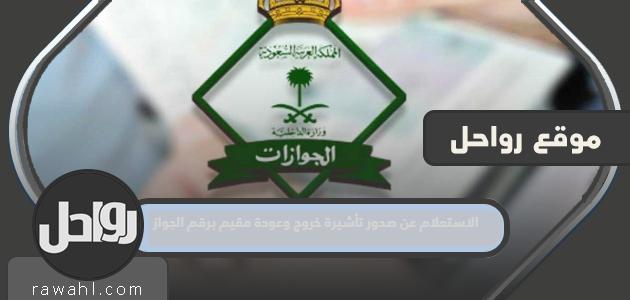 كيفية الاستعلام عن صدور تأشيرة خروج وعودة مقيم برقم الجواز بالتفصيل