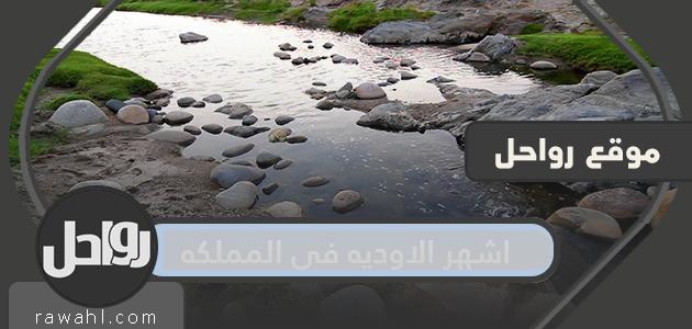 ما هي اشهر الاوديه في المملكه العربية السعودية