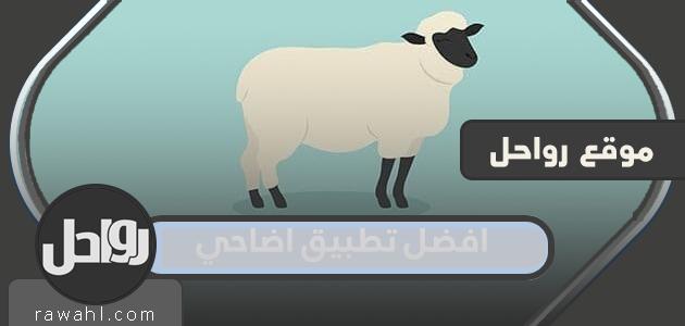 افضل تطبيق أضاحي في السعودية 2023 / 1444