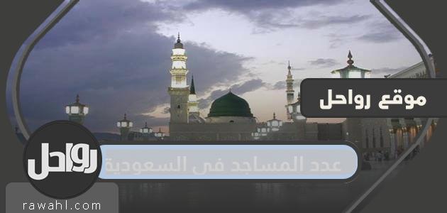 عدد المساجد في السعودية وما هي شروط بناء مسجد في السعودية