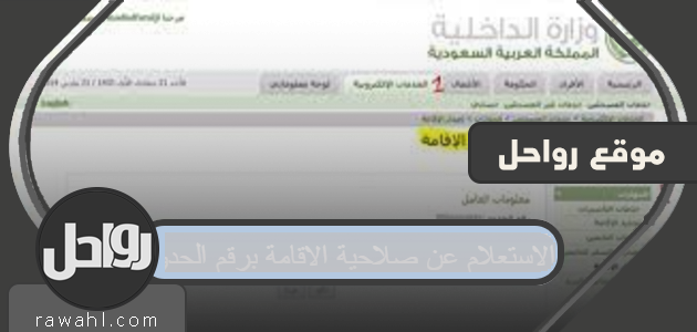 الاستعلام عن صلاحية الاقامة برقم الحدود وإجراءات تجديدها