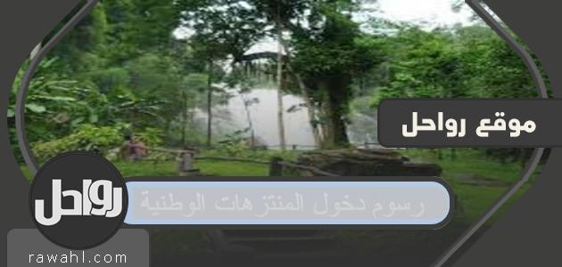 رسوم دخول المتنزهات الوطنية في السعودية