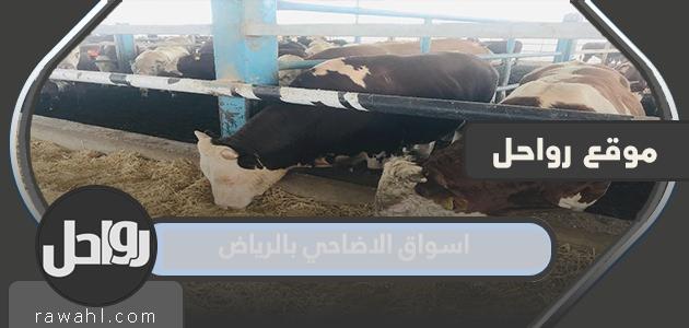 قائمة اسواق الاضاحي بالرياض 1443 – 2022