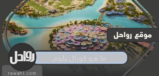 ما هو مشروع كورال بلوم وتفاصيله وأهم المعلومات عنه