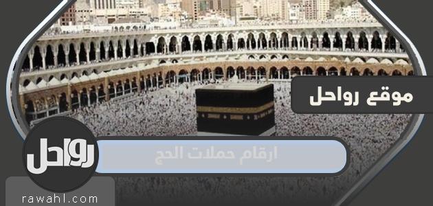 أرقام حملة الحج 1445
