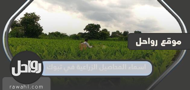أسماء المحاصيل الزراعية في تبوك