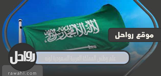 العلم الوطني للمملكة العربية السعودية اللون