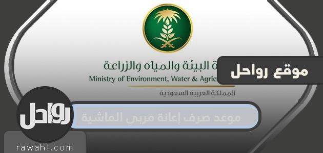 موعد صرف دعم مربي الماشية.. سجل في منصة أنعام لمعرفة موعد صرف الدعم